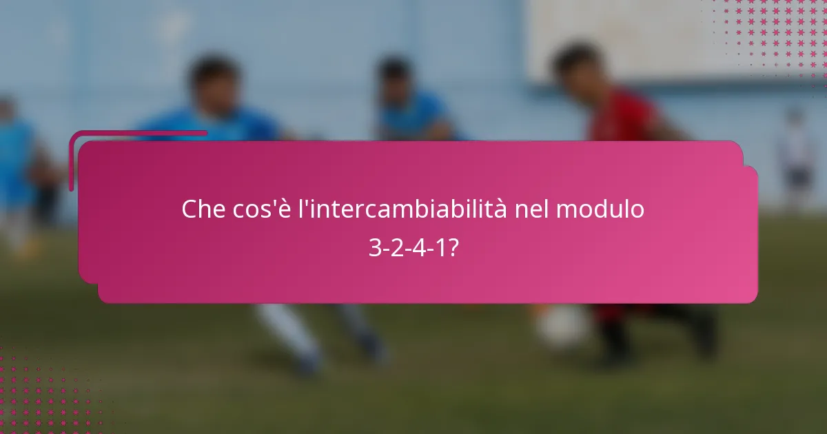 Che cos'è l'intercambiabilità nel modulo 3-2-4-1?