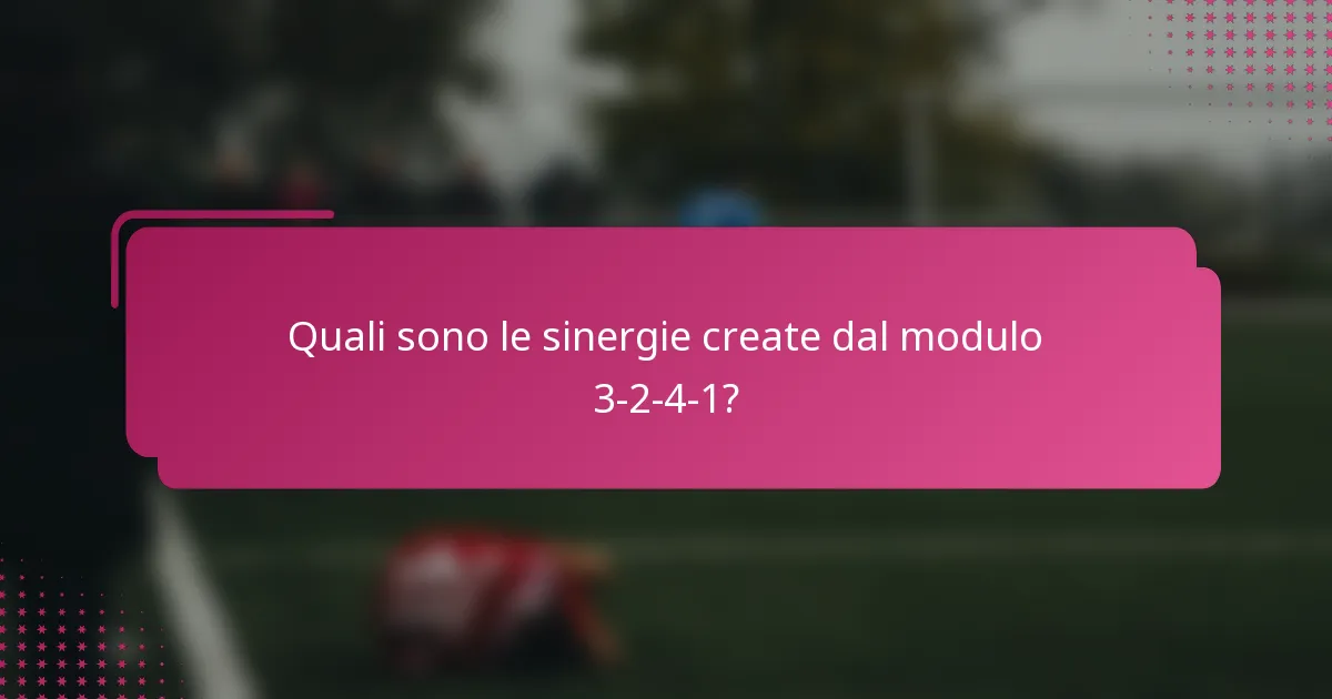 Quali sono le sinergie create dal modulo 3-2-4-1?